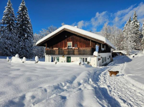 Nattersbergalm Reit Im Winkl